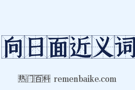 向日面近义词是什么意思的图片